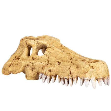 Repti-Zoo Crocodile Skull S | Realistyczna, bezpieczna kryjówka dla gadów