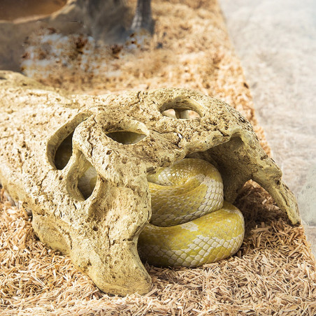 Repti-Zoo Crocodile Skull S | Realistyczna, bezpieczna kryjówka dla gadów