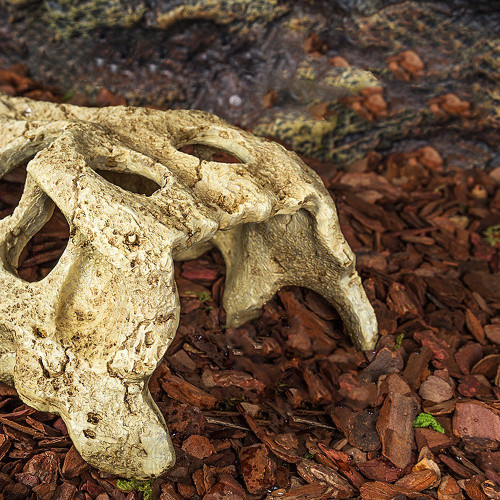 Repti-Zoo Crocodile Skull S | Realistyczna, bezpieczna kryjówka dla gadów
