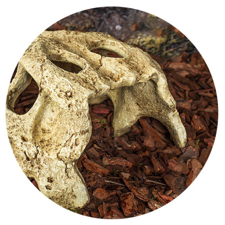 Repti-Zoo Crocodile Skull S | Realistyczna, bezpieczna kryjówka dla gadów