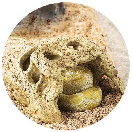 Repti-Zoo Crocodile Skull S | Realistyczna, bezpieczna kryjówka dla gadów