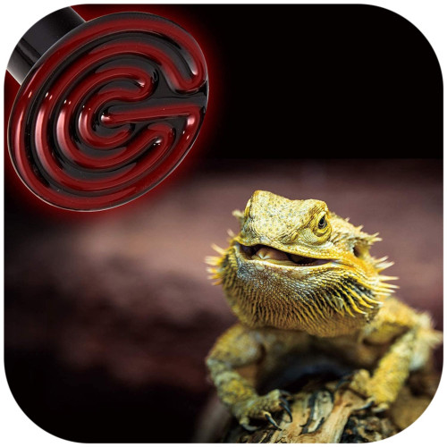 Resun Ceramic Infrared 60W - Idealny do ogrzewania terrarium