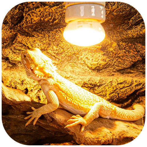 Repti-Zoo Mini Daylight Spot NANO 25W - Idealne do nano terrariów, 2 szt