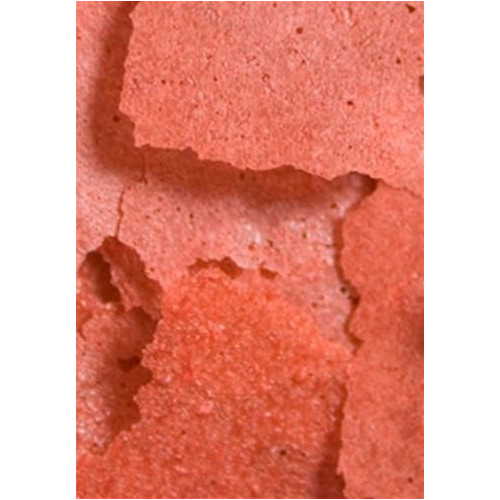 Ocean Nutrition Prime Reef Flakes 34g - Zdrowe, intensywne barwy ryb morskich