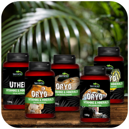 Terrario UTHER for Reptiles 150g - Zdrowe łuski i energia