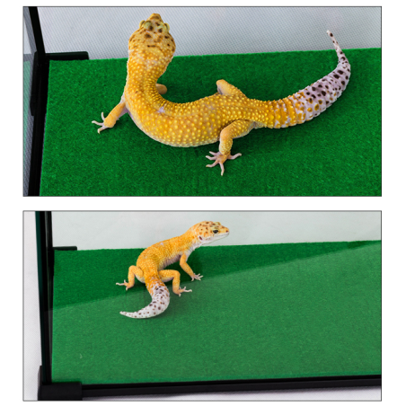 Repti-Zoo Carpet Mat - Idealne podłoże do terrarium