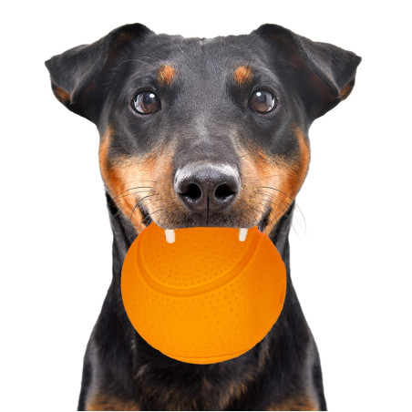 HappyPet Glow Balls - piszcząca piłka | Świecąca zabawka idealna na wieczorne aporty