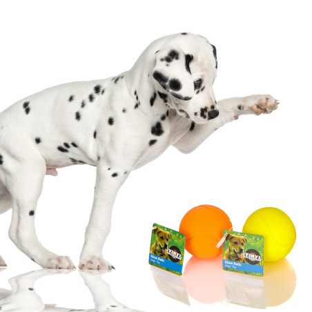 HappyPet Glow Balls - piszcząca piłka | Świecąca zabawka idealna na wieczorne aporty