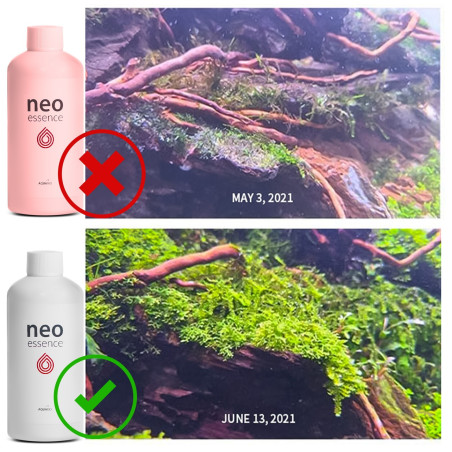 Neo Essence 1000ml - Intensywne wybarwienie i wzrost roślin akwariowych