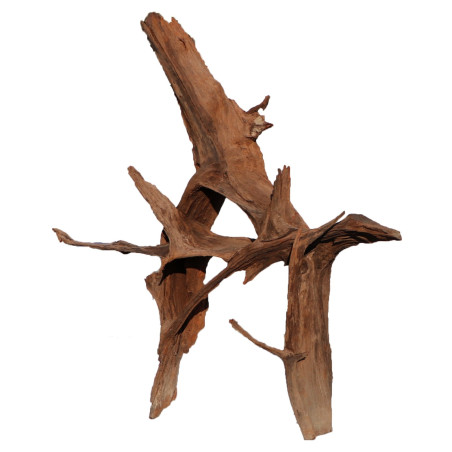 Korzeń akwariowy Malaysian Driftwood Giant XXXL 150 cm naturalny