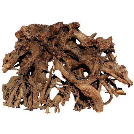 Korzeń akwariowy Malaysian Driftwood Giant XXXL 150 cm naturalny