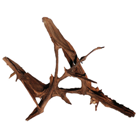 Korzeń akwariowy Malaysian Driftwood Giant XXXL 150 cm naturalny