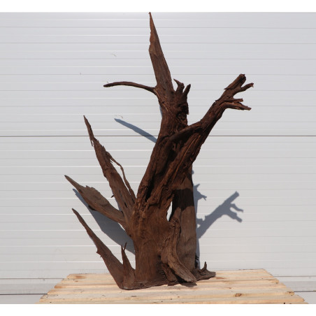 Korzeń akwariowy Malaysian Driftwood Giant XXXL 150 cm naturalny