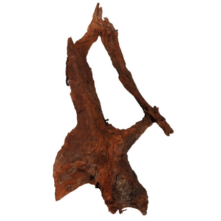 Korzeń akwariowy Malaysian Driftwood Giant XXXL 150 cm naturalny