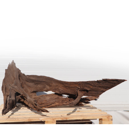 Korzeń akwariowy Malaysian Driftwood Giant XXXL 150 cm naturalny