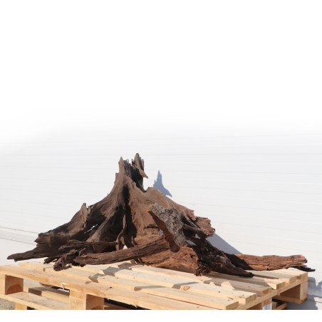 Korzeń akwariowy Malaysian Driftwood Giant XXXL 150 cm naturalny