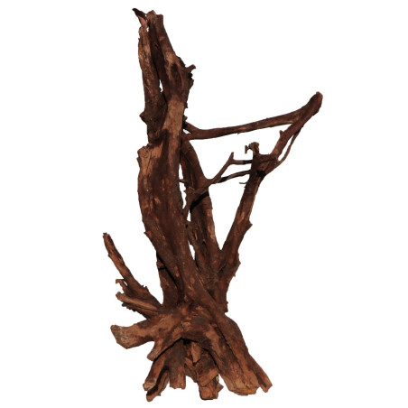 Korzeń akwariowy Malaysian Driftwood Giant XXXL 150 cm naturalny
