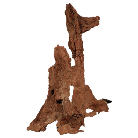 Korzeń akwariowy Malaysian Driftwood Giant XXXL 150 cm naturalny