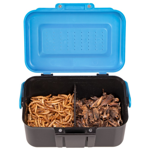 Terrario Live Food Box - Higieniczne przechowywanie żywej karmy dla gadów