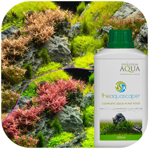 Evolution Aqua Aquascaper Plantfood - kompletny nawóz | Bujny wzrost roślin