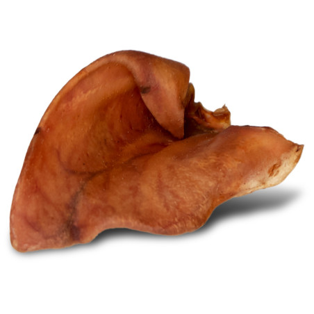 Dogario Bonni Pig's Ear L x10 - naturalny gryzak dla dużych psów, długotrwała zabawa
