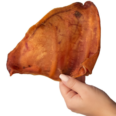 Dogario Bonni Pig's Ear L x10 - naturalny gryzak dla dużych psów, długotrwała zabawa