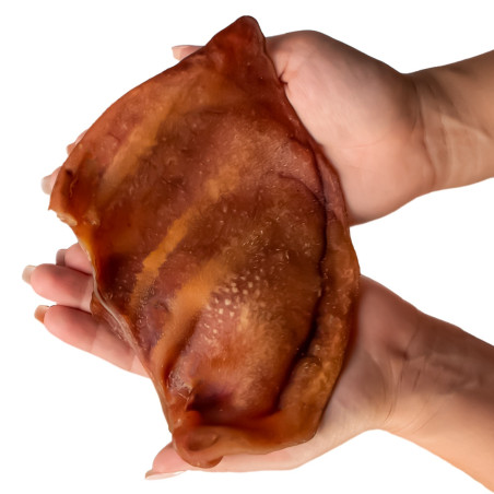 Dogario Bonni Pig's Ear L x10 - naturalny gryzak dla dużych psów, długotrwała zabawa