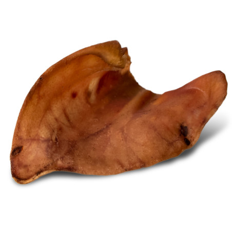 Dogario Bonni Pig's Ear L x10 - naturalny gryzak dla dużych psów, długotrwała zabawa