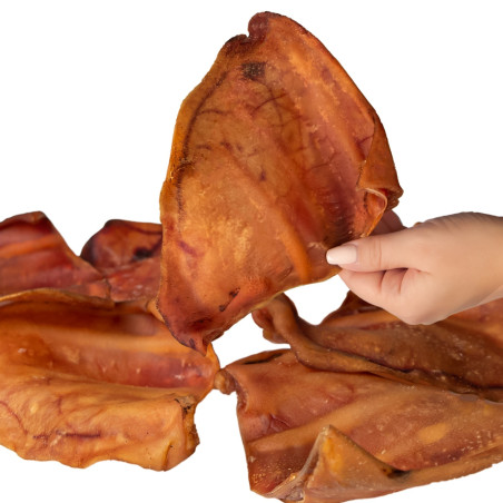 Dogario Bonni Pig's Ear L x10 - naturalny gryzak dla dużych psów, długotrwała zabawa