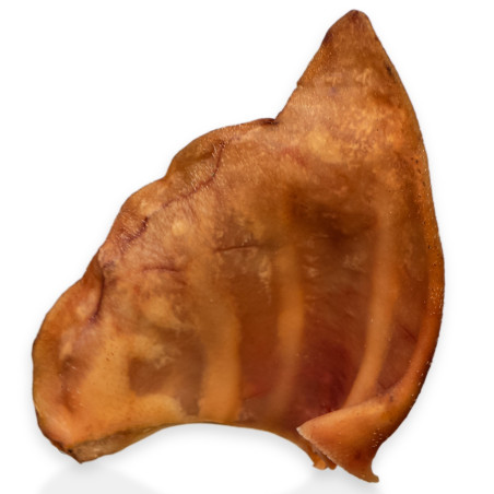 Dogario Bonni Pig's Ear L x10 - naturalny gryzak dla dużych psów, długotrwała zabawa