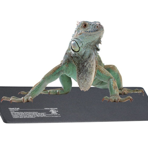 Resun Heating Mat 4W PVC 10x17cm - Idealna do terrarium