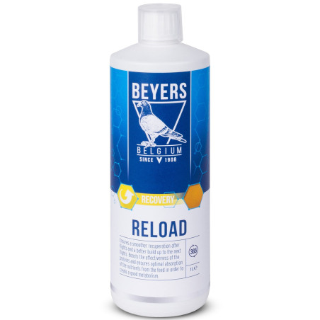 Beyers Reload 1000ml - koncentrat regeneracyjny | Szybka regeneracja po lotach
