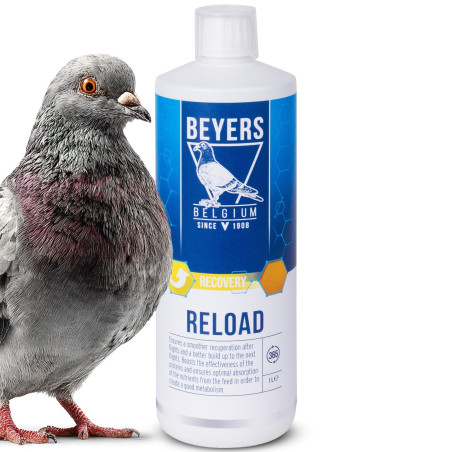 Beyers Reload 1000ml - koncentrat regeneracyjny | Szybka regeneracja po lotach