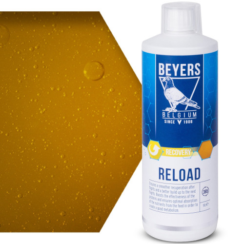 Beyers Reload 1000ml - koncentrat regeneracyjny | Szybka regeneracja po lotach