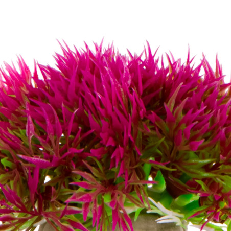 Kruger Meier Plant Mini Grass Pink - Idealna do akwarium słodkowodnego