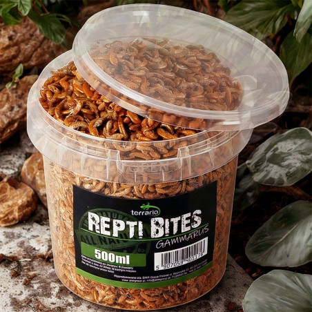 Terrario Repti Bites Gammarus 500ml - Bogate białko dla zdrowych gadów