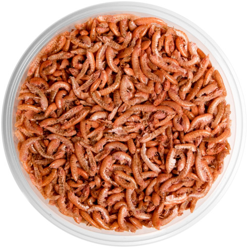 Terrario Repti Bites Gammarus 500ml - Bogate białko dla zdrowych gadów