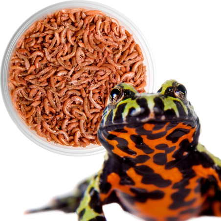 Terrario Repti Bites Gammarus 500ml - Bogate białko dla zdrowych gadów