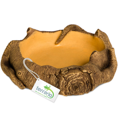 Terrario Rustic Wood Bowl – Miska do Terrarium 12x12x3,5 cm | Idealna do terrarium