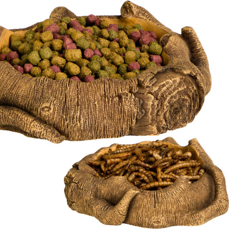 Terrario Rustic Wood Bowl – Miska do Terrarium 12x12x3,5 cm | Idealna do terrarium