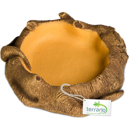 Terrario Rustic Wood Bowl – Miska do Terrarium 12x12x3,5 cm | Idealna do terrarium