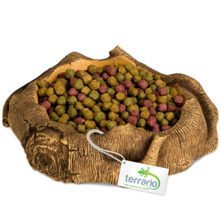 Terrario Rustic Wood Bowl – Miska do Terrarium 12x12x3,5 cm | Idealna do terrarium