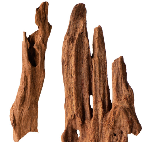 Philippines Classic Driftwood drzewo mangrowca XXS 10 cm - Idealne do nano akwarium