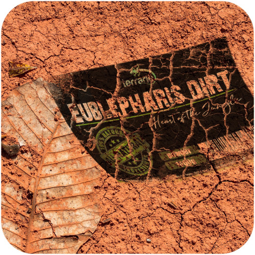 Terrario Eublepharis Dirt 1 kg - podłoże dla gekona lamparciego | Naturalne, higieniczne