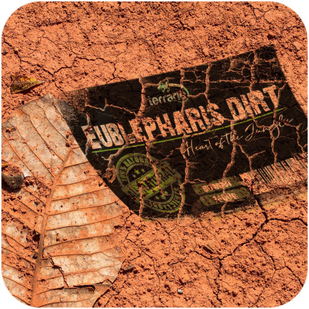 Terrario Eublepharis Dirt 1 kg - podłoże dla gekona lamparciego | Naturalne, higieniczne