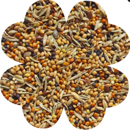 Karma dla papug Alegia Enjoy 450 g dla zeberek i papużek egzotycznych