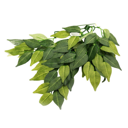 Repti-Zoo roślina wisząca Figowiec 40cm - Idealna do terrarium