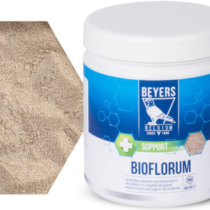 Beyers Bioflorum 450g - odżywka jelitowa