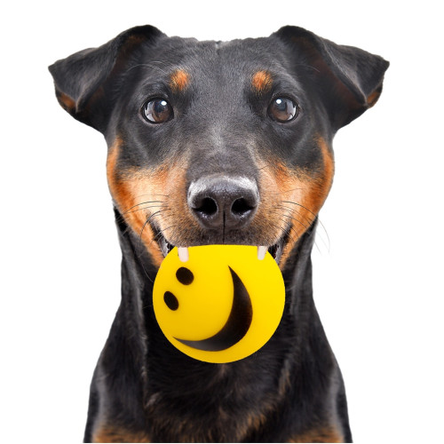 Piłka dla psa HappyPet Smiley Ball uśmiechnięta