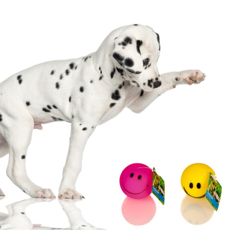 Piłka dla psa HappyPet Smiley Ball uśmiechnięta